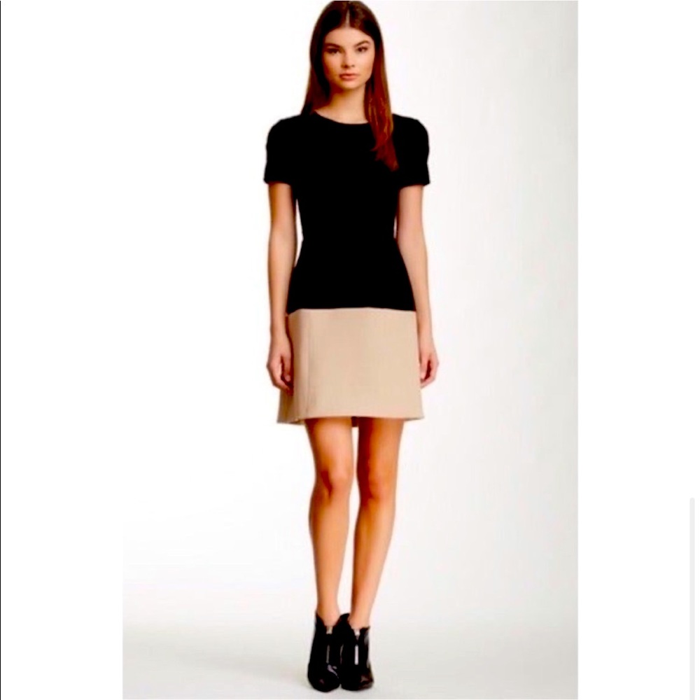 BCBG Hannah Colorblock Dress